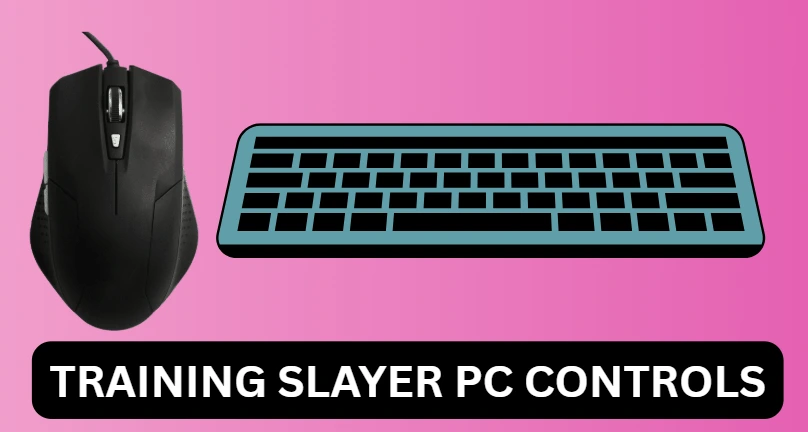 Training Slayer PC controls